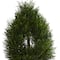 3ft. Double Pond Cypress Spiral Artificial Topiary Tree